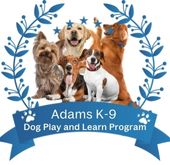 Dog Play and Learn Program
